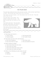 Polar Bears Reading Warm-Up