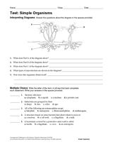 Life Science Test: Simple Organisms
